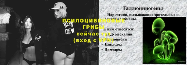 мяу мяу мука Алзамай