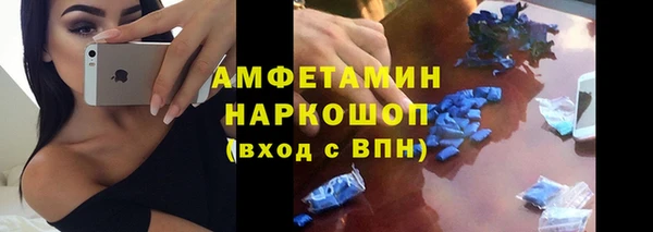гидра Алексеевка