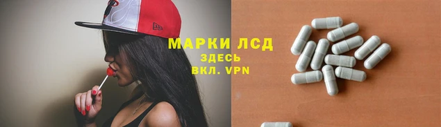 тгк Алексин