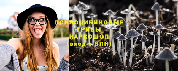 гидра Алексеевка