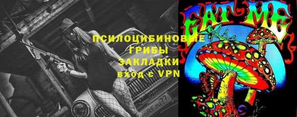 гидра Алексеевка