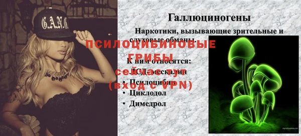 тгк Алексин