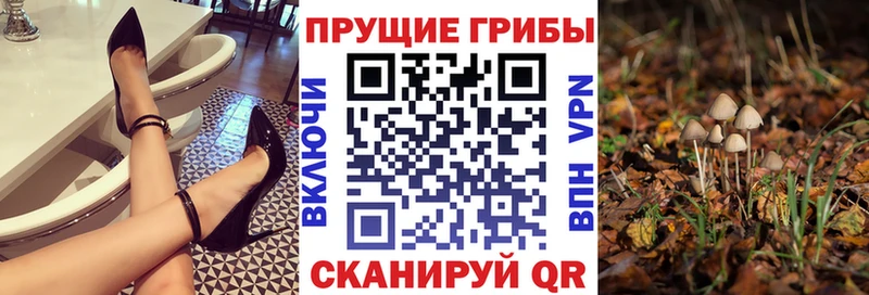 Псилоцибиновые грибы ЛСД  Сатка 