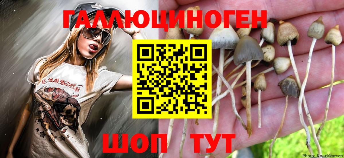 Галлюциногенные грибы мухоморы Сатка