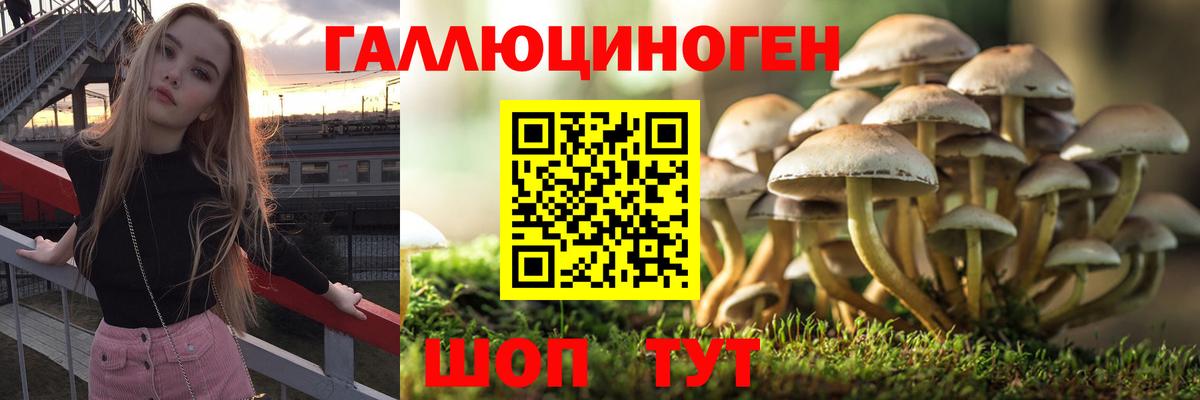 Псилоцибиновые грибы Magic Shrooms  Галлюциногенные грибы Psilocybine cubensis  Сатка  Вход с VPN 